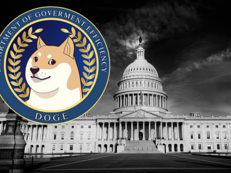 What Bedford Can Learn From DOGE